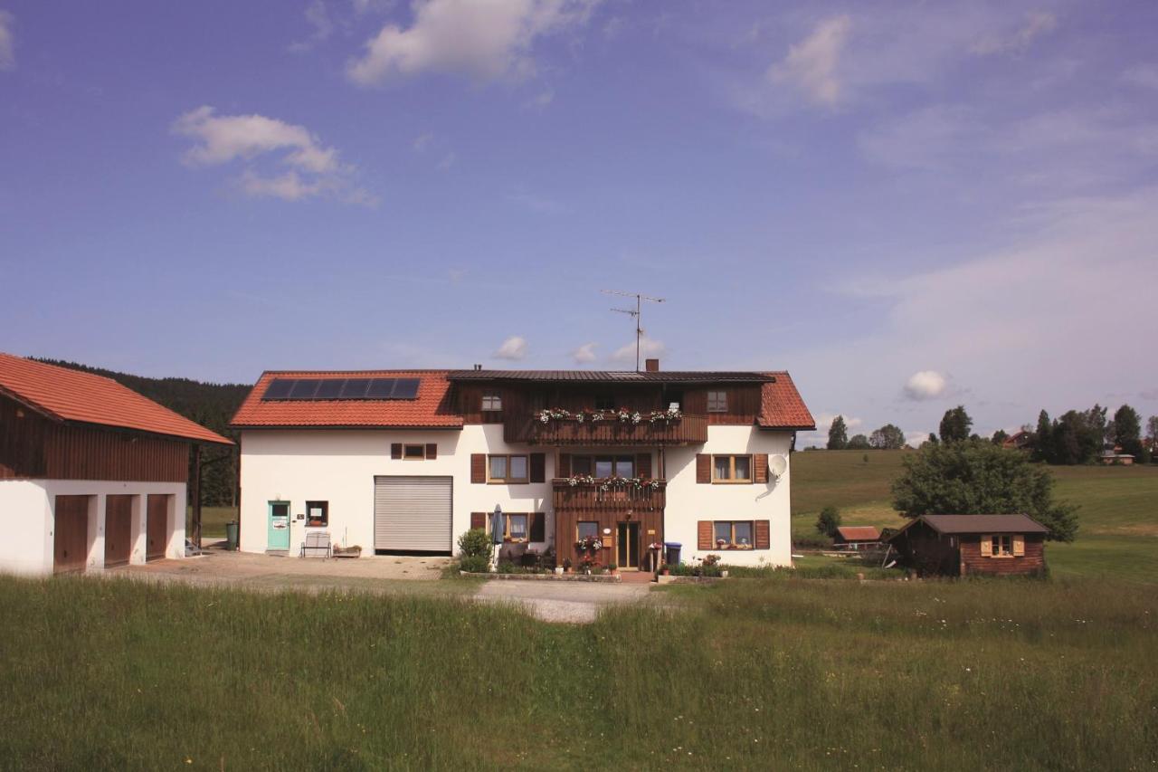 Apartament Haus Anny Haidmühle Zewnętrze zdjęcie